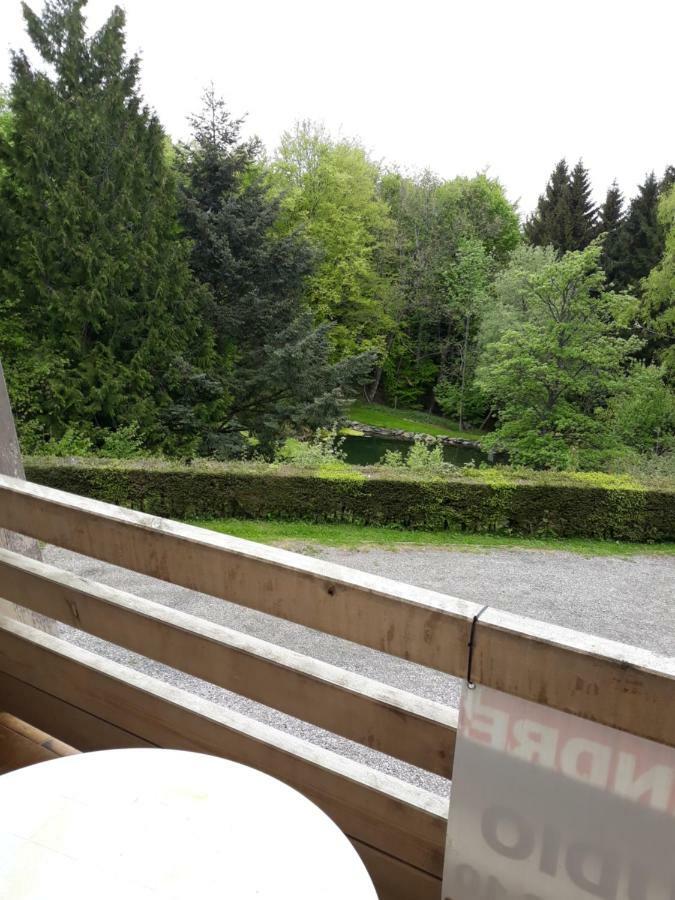 Residence Le Faucon - Col Du Donon Grandfontaine  Zewnętrze zdjęcie
